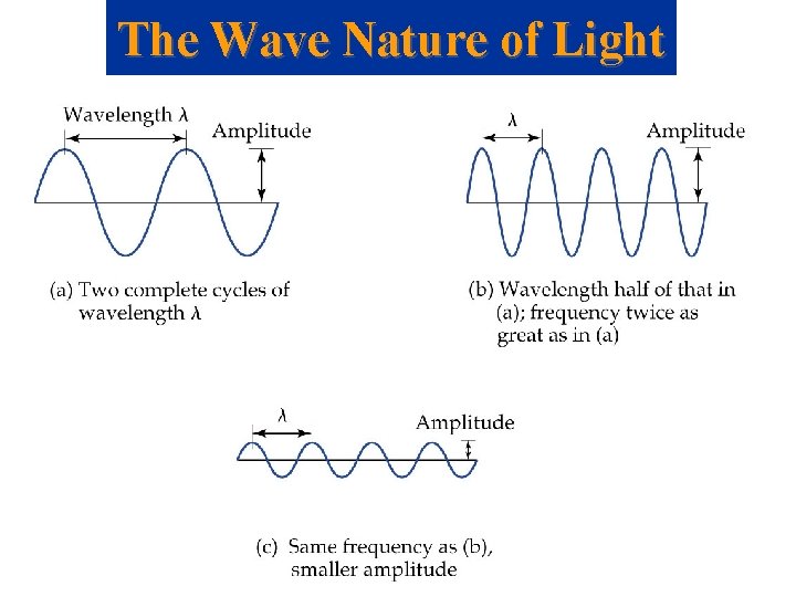 The Wave Nature of Light 