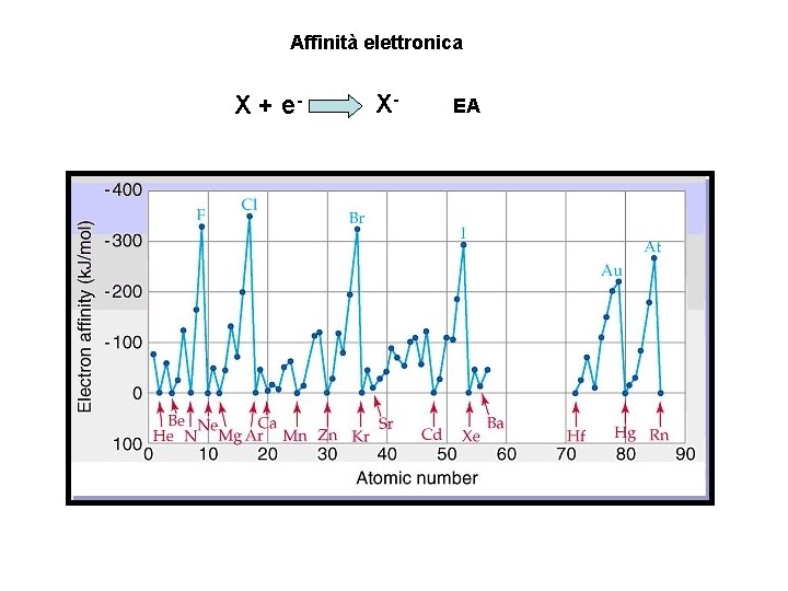 Affinità elettronica X + e- X- EA 