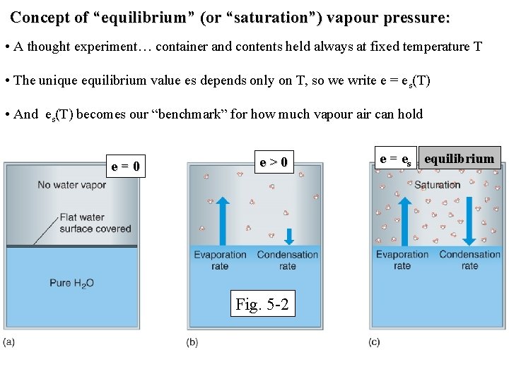 Concept of “equilibrium” (or “saturation”) vapour pressure: • A thought experiment… container and contents