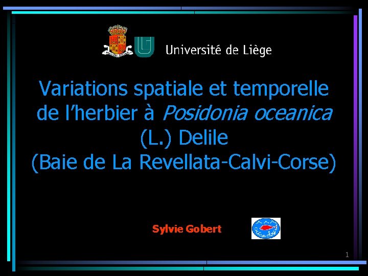 Variations spatiale et temporelle de l’herbier à Posidonia oceanica (L. ) Delile (Baie de