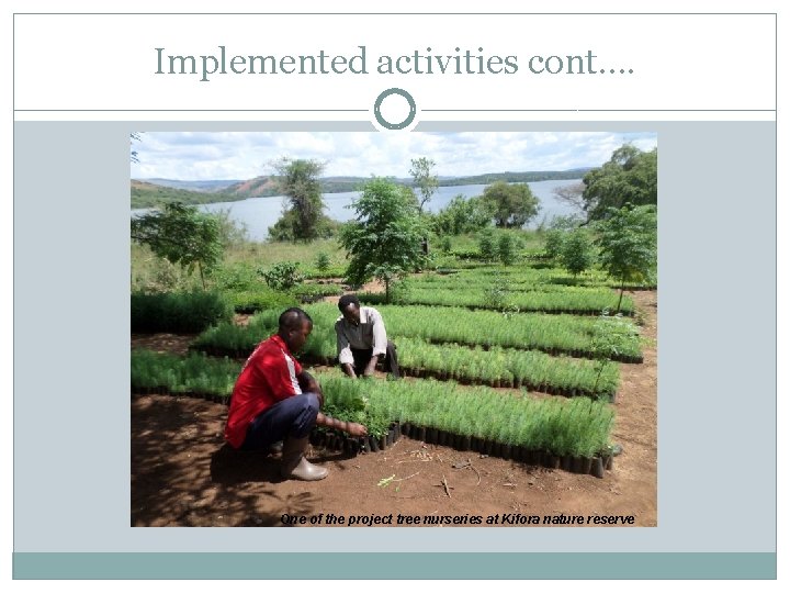Implemented activities cont…. One of the project tree nurseries at Kifora nature reserve 
