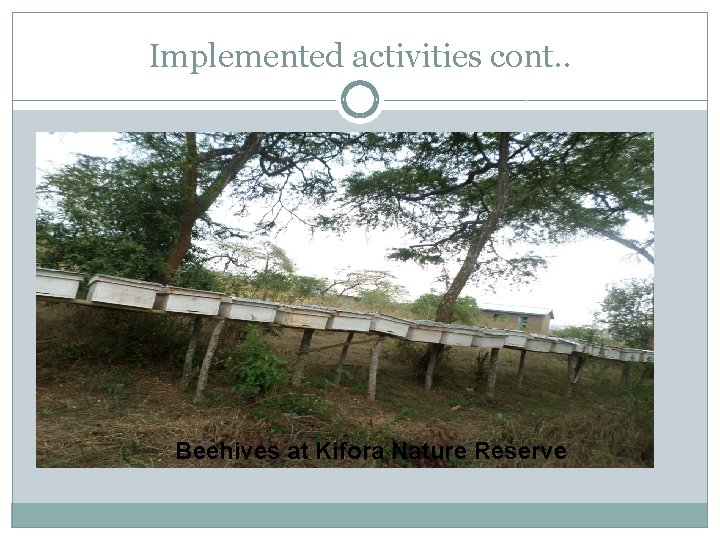 Implemented activities cont. . Beehives at Kifora Nature Reserve 