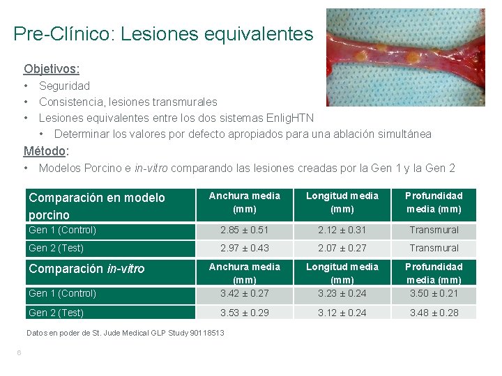 Pre-Clínico: Lesiones equivalentes Objetivos: • Seguridad • Consistencia, lesiones transmurales • Lesiones equivalentes entre