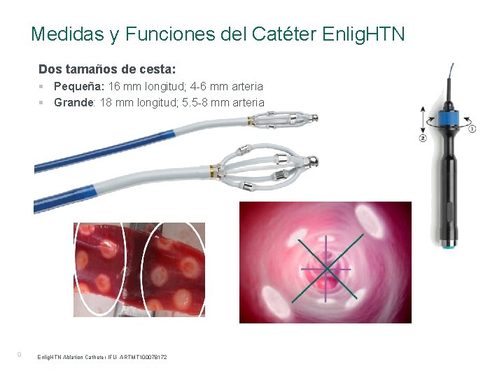Medidas y Funciones del Catéter Enlig. HTN Dos tamaños de cesta: § Pequeña: 16