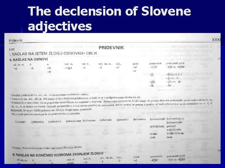 The declension of Slovene adjectives 