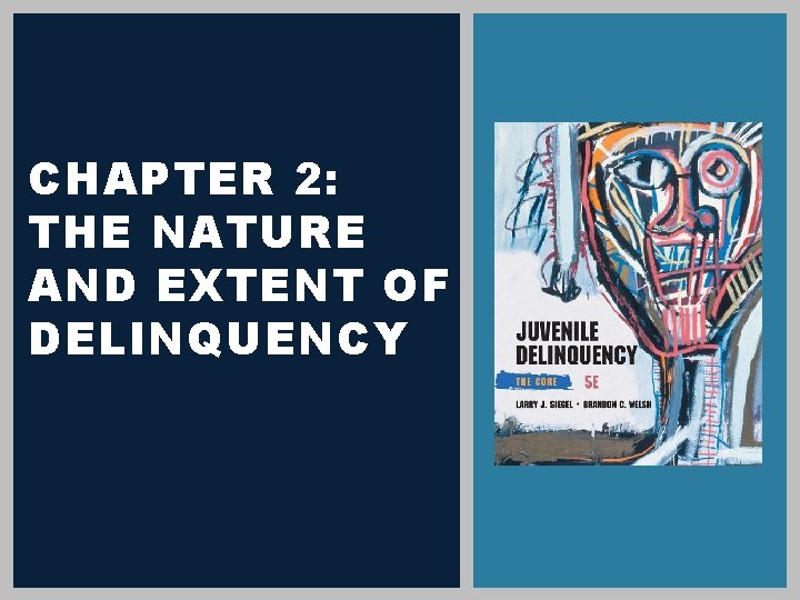 CHAPTER 2: THE NATURE AND EXTENT OF DELINQUENCY 