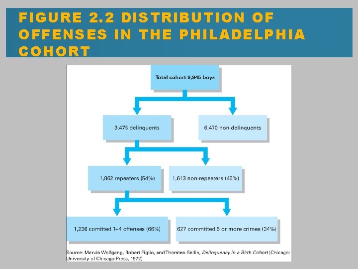 FIGURE 2. 2 DISTRIBUTION OF OFFENSES IN THE PHILADELPHIA COHORT 