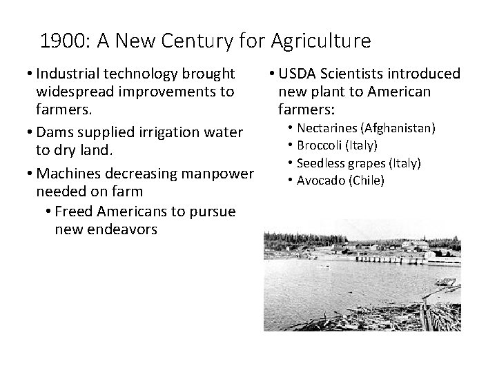 1900: A New Century for Agriculture • USDA Scientists introduced • Industrial technology brought
