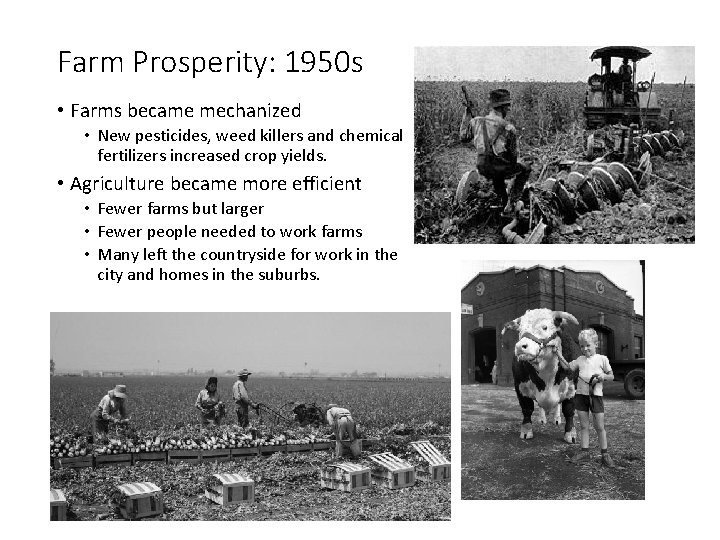 Farm Prosperity: 1950 s • Farms became mechanized • New pesticides, weed killers and