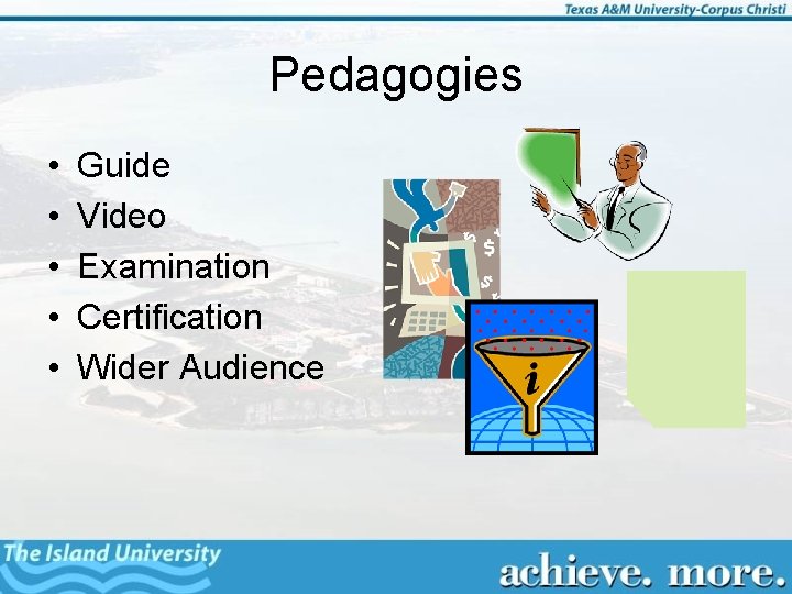 Pedagogies • • • Guide Video Examination Certification Wider Audience 