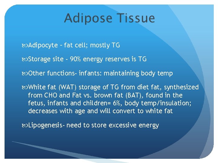  Adipocyte – fat cell; mostly TG Storage site - 90% energy reserves is