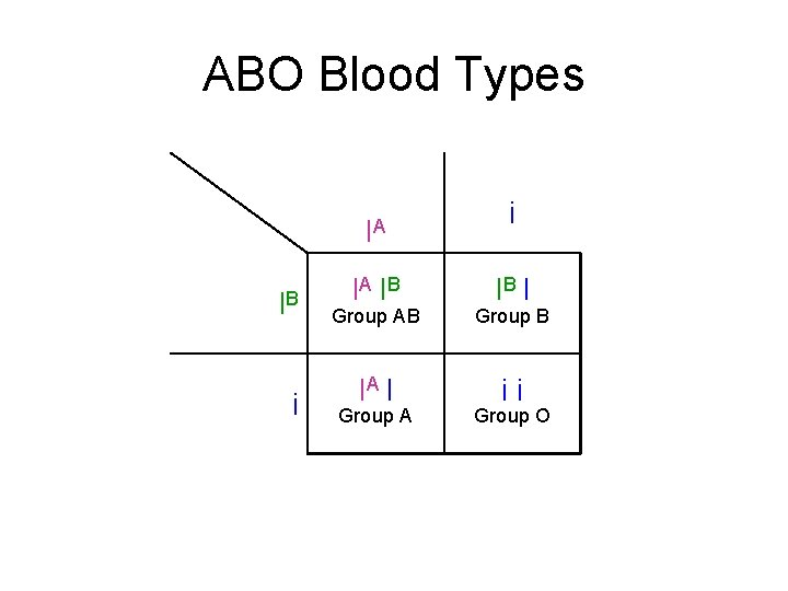 ABO Blood Types IA IB i IB I Group AB Group B IA I