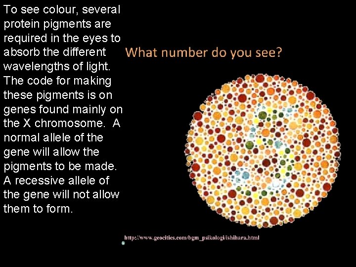 To see colour, several protein pigments are required in the eyes to absorb the