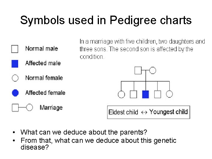 Symbols used in Pedigree charts • What can we deduce about the parents? •