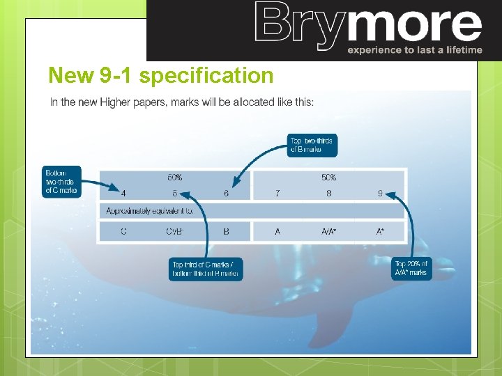 New 9 -1 specification 