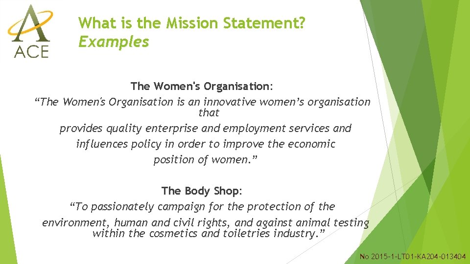 What is the Mission Statement? Examples The Women's Organisation: “The Women's Organisation is an What is the Mission Statement? Examples The Women's Organisation: “The Women's Organisation is an