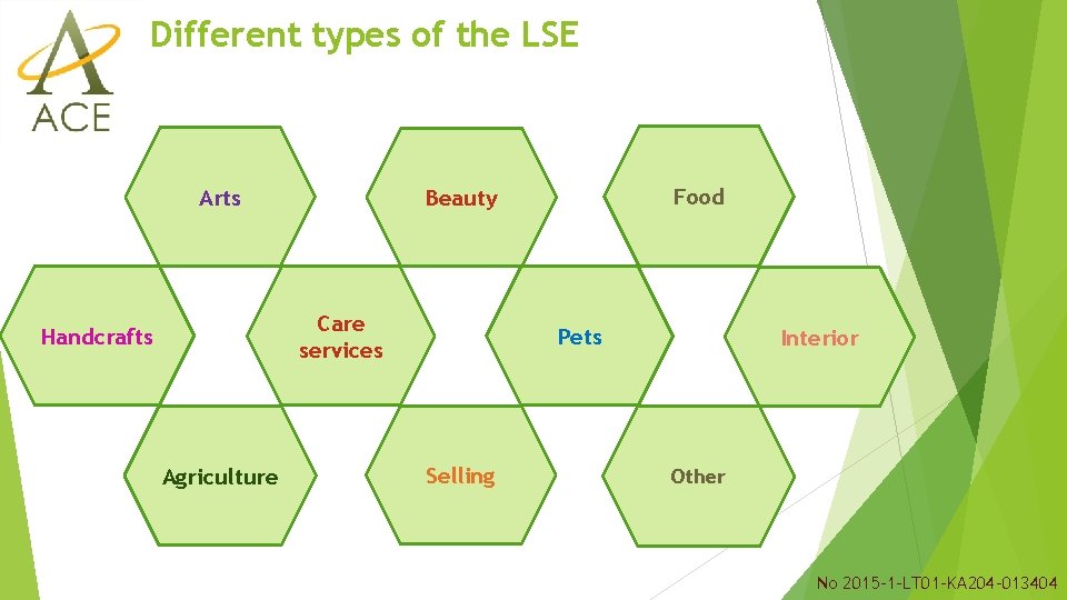 Different types of the LSE Arts Care services Handcrafts Agriculture Food Beauty Pets Selling Different types of the LSE Arts Care services Handcrafts Agriculture Food Beauty Pets Selling