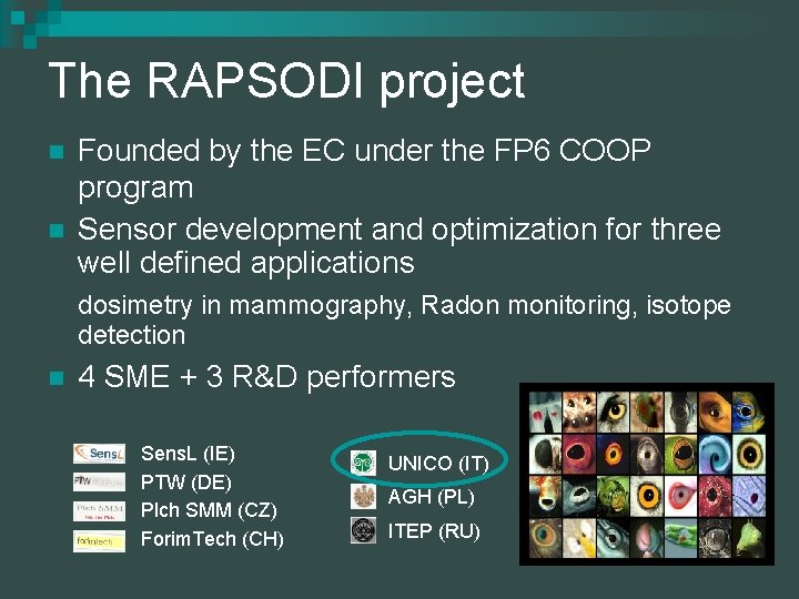 The RAPSODI project n n Founded by the EC under the FP 6 COOP