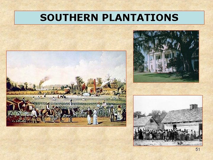 SOUTHERN PLANTATIONS 51 SOUTHERN PLANTATIONS 51