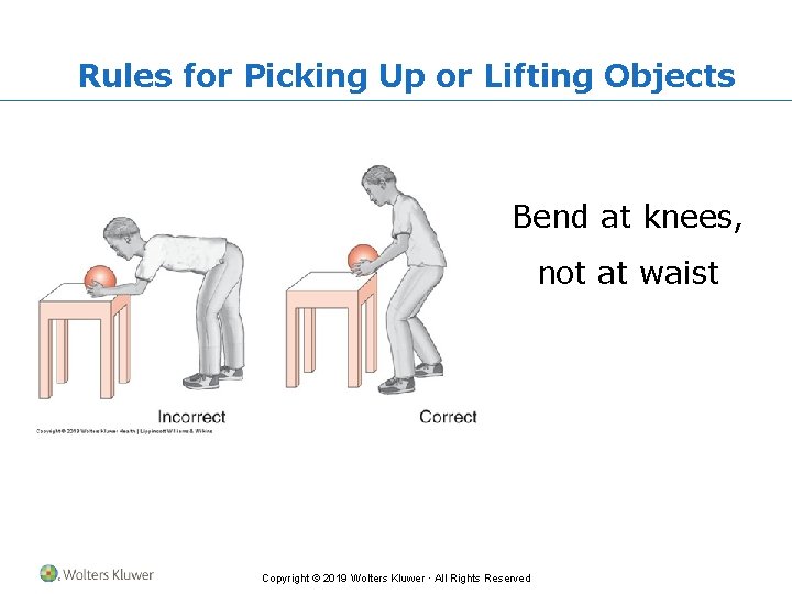 Rules for Picking Up or Lifting Objects Bend at knees, not at waist Copyright