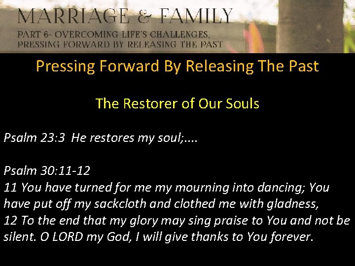 Pressing Forward By Releasing The Past The Restorer of Our Souls Psalm 23: 3