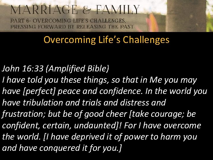 Overcoming Life’s Challenges John 16: 33 (Amplified Bible) I have told you these things,