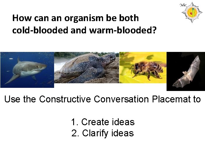 How can an organism be both cold-blooded and warm-blooded? Use the Constructive Conversation Placemat