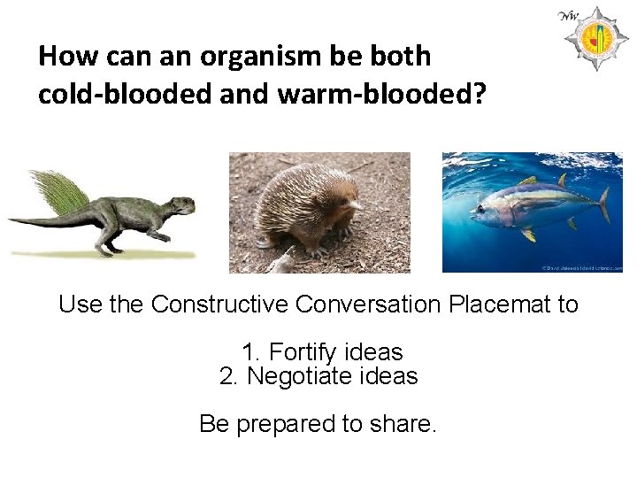 How can an organism be both cold-blooded and warm-blooded? Use the Constructive Conversation Placemat