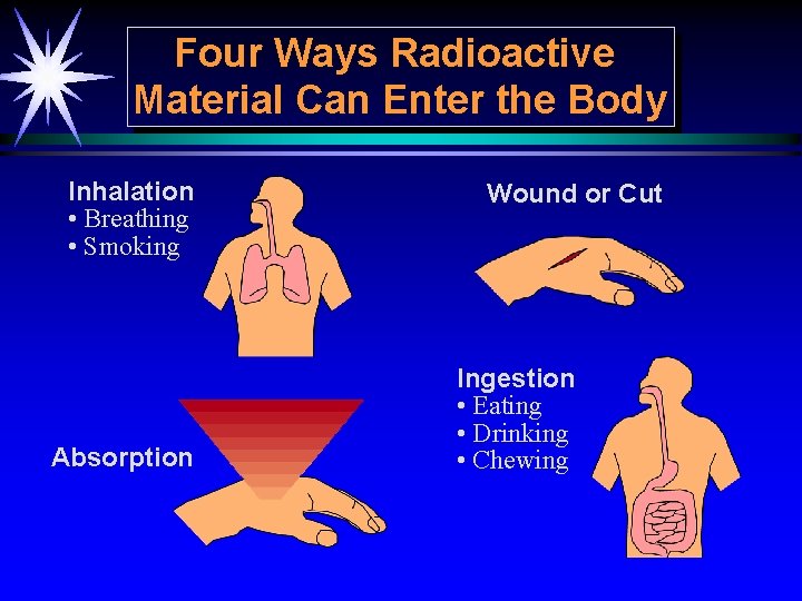 Four Ways Radioactive Material Can Enter the Body Inhalation • Breathing • Smoking Absorption