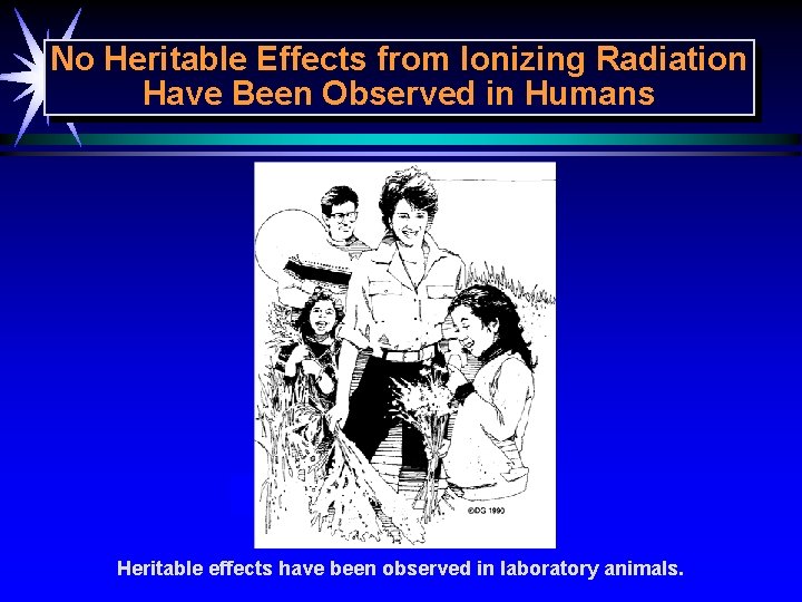 No Heritable Effects from Ionizing Radiation Have Been Observed in Humans Heritable effects have