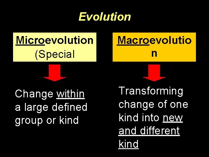 Evolution Microevolution (Special Evolution) Change within a large defined group or kind Macroevolutio n