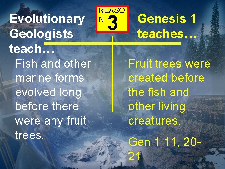 Evolutionary Geologists teach… Fish and other marine forms evolved long before there were any