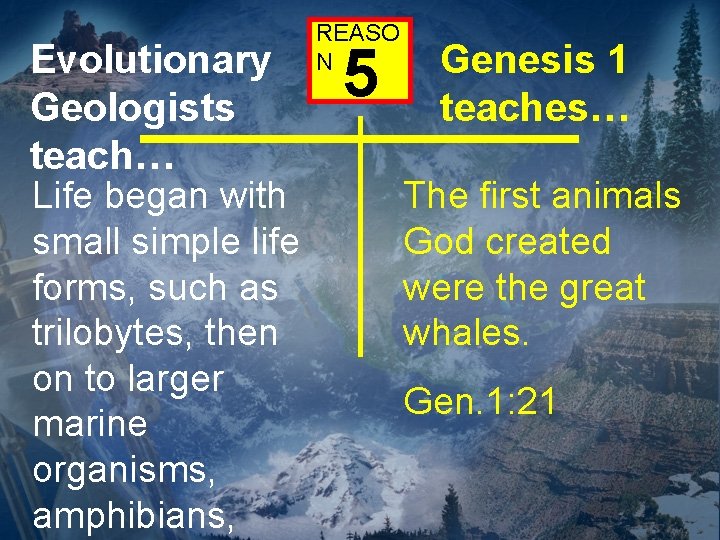 Evolutionary Geologists teach… Life began with small simple life forms, such as trilobytes, then