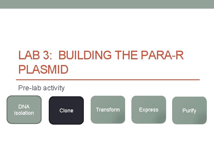 LAB 3: BUILDING THE PARA-R PLASMID Pre-lab activity DNA isolation Clone Transform Express Purify