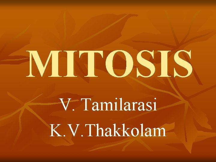 MITOSIS V. Tamilarasi K. V. Thakkolam 