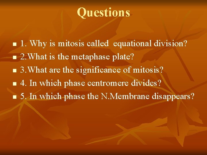 Questions n n n 1. Why is mitosis called equational division? 2. What is