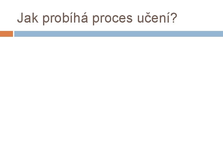 Jak probíhá proces učení? 