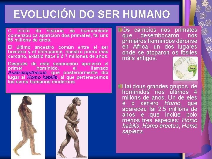 EVOLUCIÓN DO SER HUMANO O inicio da historia da humanidade comenzou ca aparición dos