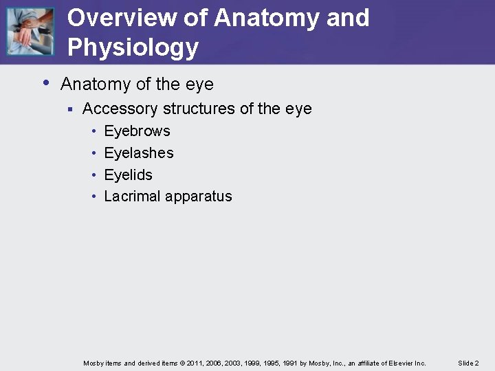Overview of Anatomy and Physiology • Anatomy of the eye § Accessory structures of