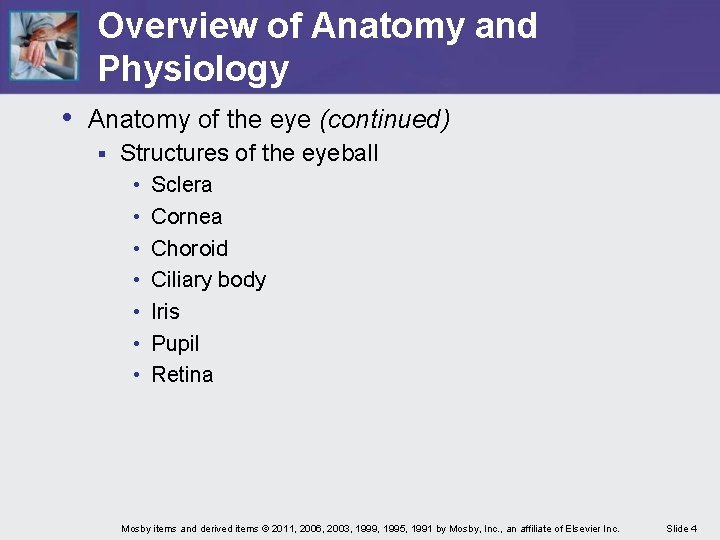 Overview of Anatomy and Physiology • Anatomy of the eye (continued) § Structures of