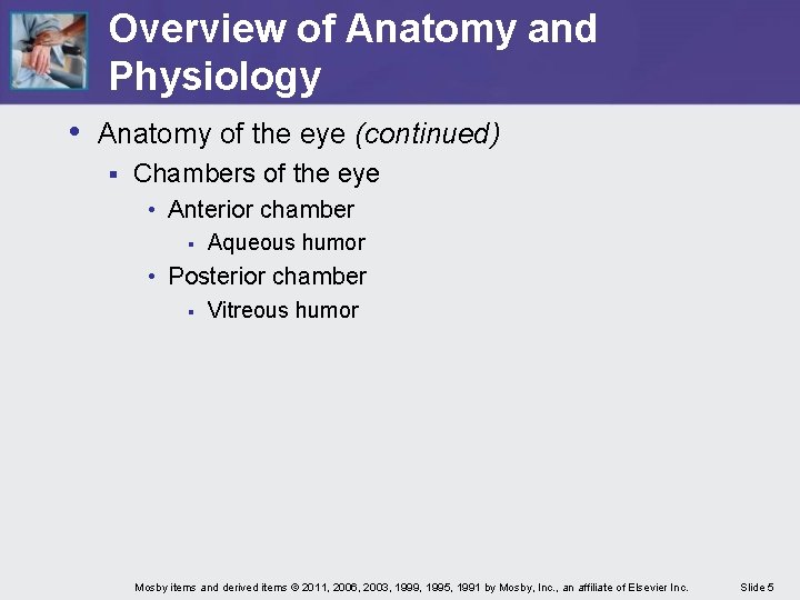 Overview of Anatomy and Physiology • Anatomy of the eye (continued) § Chambers of