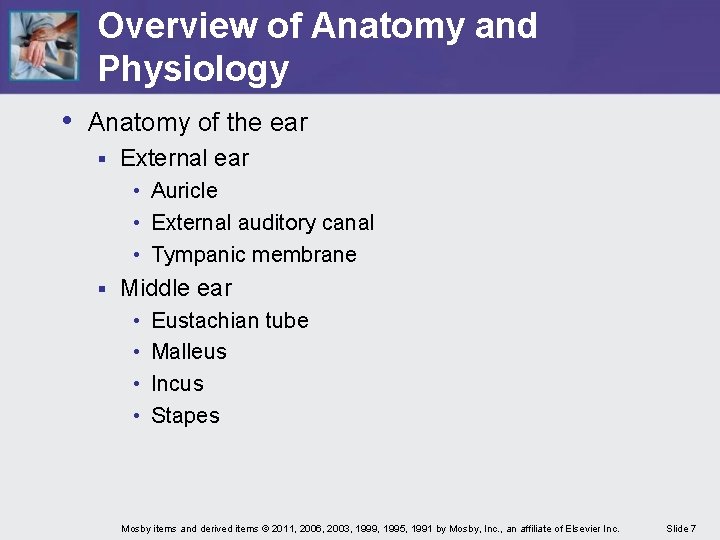 Overview of Anatomy and Physiology • Anatomy of the ear § External ear •