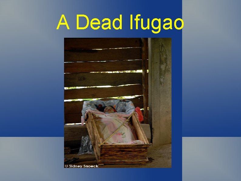 A Dead Ifugao 