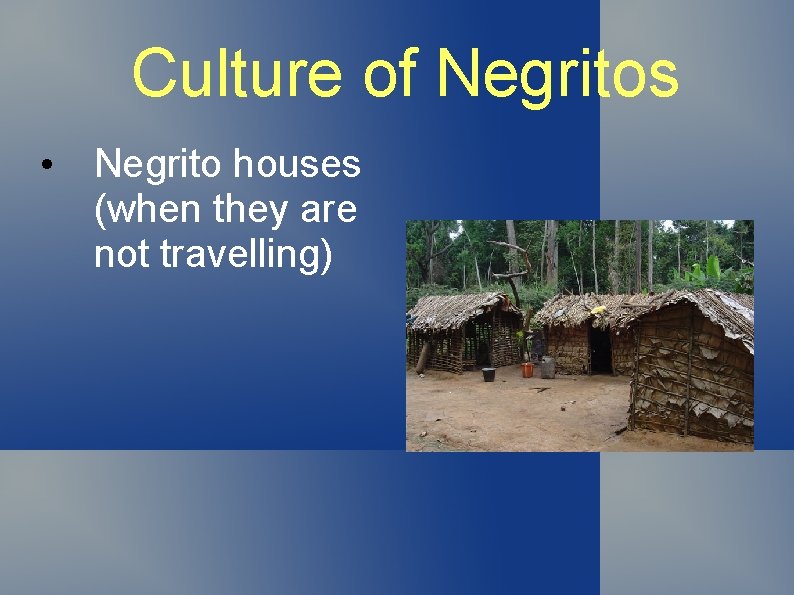 Culture of Negritos • Negrito houses (when they are not travelling) 