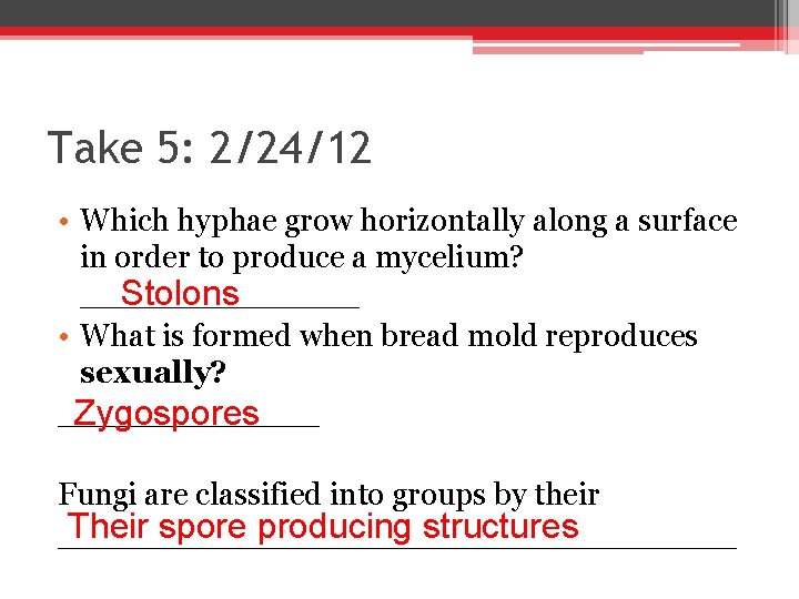 Take 5: 2/24/12 • Which hyphae grow horizontally along a surface in order to