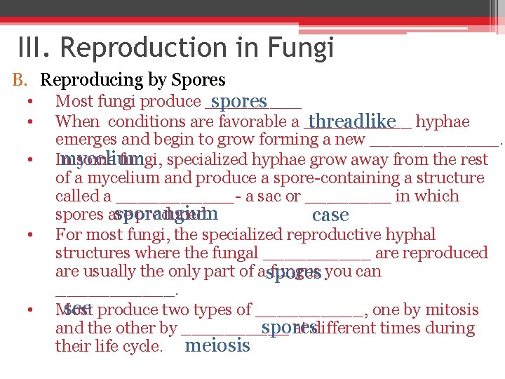 III. Reproduction in Fungi B. Reproducing by Spores • • • Most fungi produce