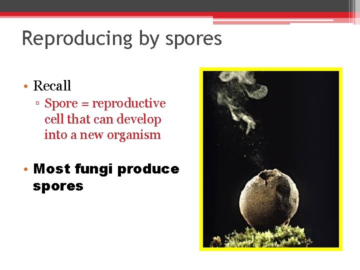 Reproducing by spores • Recall ▫ Spore = reproductive cell that can develop into