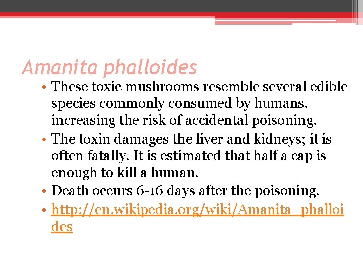 Amanita phalloides • These toxic mushrooms resemble several edible species commonly consumed by humans,