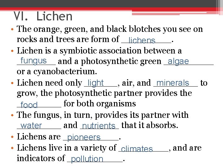 VI. Lichen • The orange, green, and black blotches you see on rocks and
