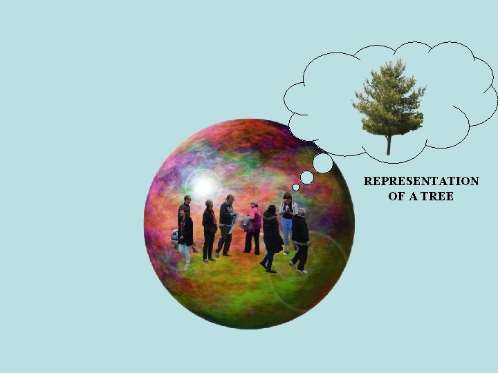 REPRESENTATION OF A TREE REPRESENTATION OF A TREE